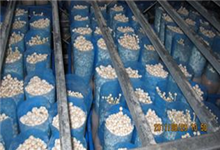 Mushroom factory supporting equipment