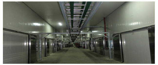 (寧夏)科技局給予本司技術(shù)人員王小軍、屈安民有機(jī)杏鮑菇高產(chǎn)技術(shù)創(chuàng)新表彰會的通報(bào)